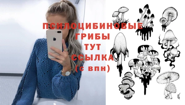 mix Алексеевка