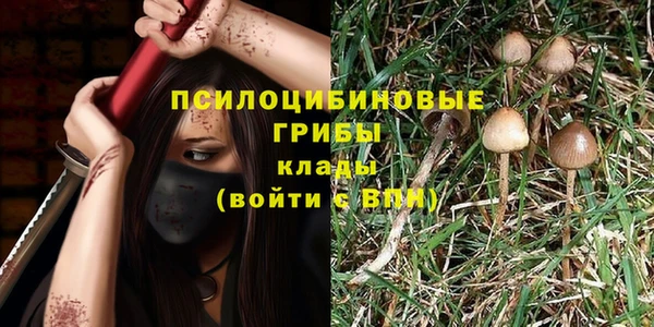 mix Алексеевка
