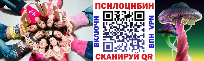 Псилоцибиновые грибы мицелий мега зеркало Сураж